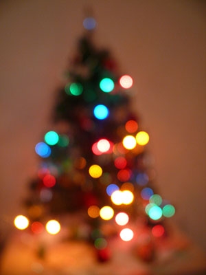 image of Christmas tree